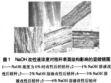 生物質成型燃料NaOH濃度對秸稈表面結構影響 生物質成型燃料NaOH濃度對秸稈表面結構影響